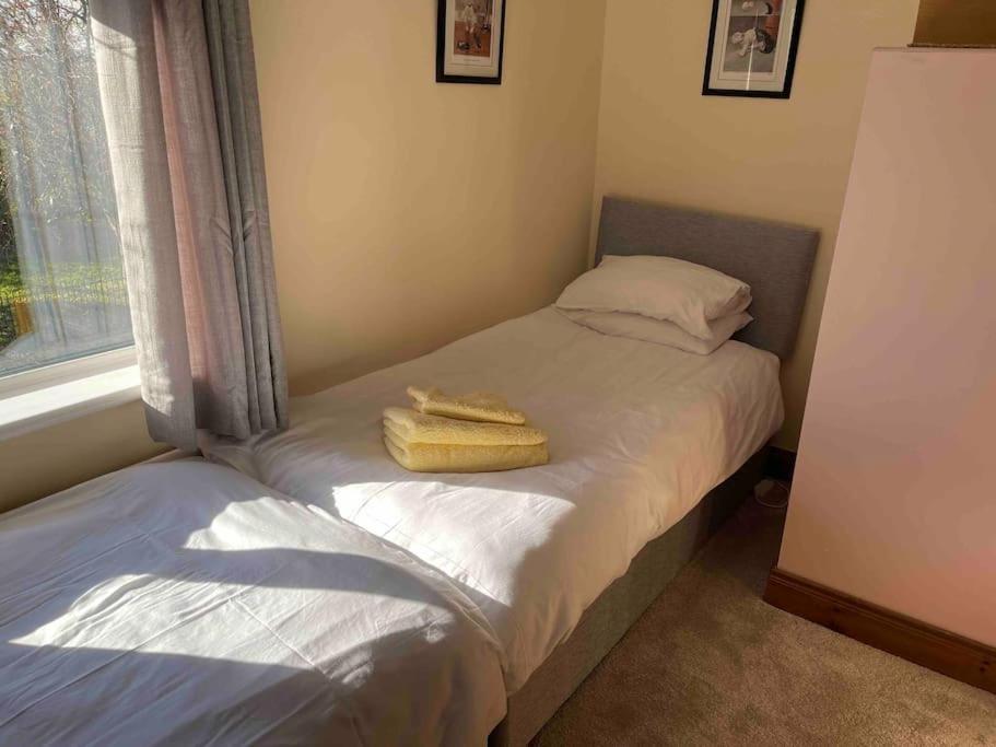 Lovely 2 Bedroom House Overlooking Park, Free Parking 贝尔法斯特 外观 照片