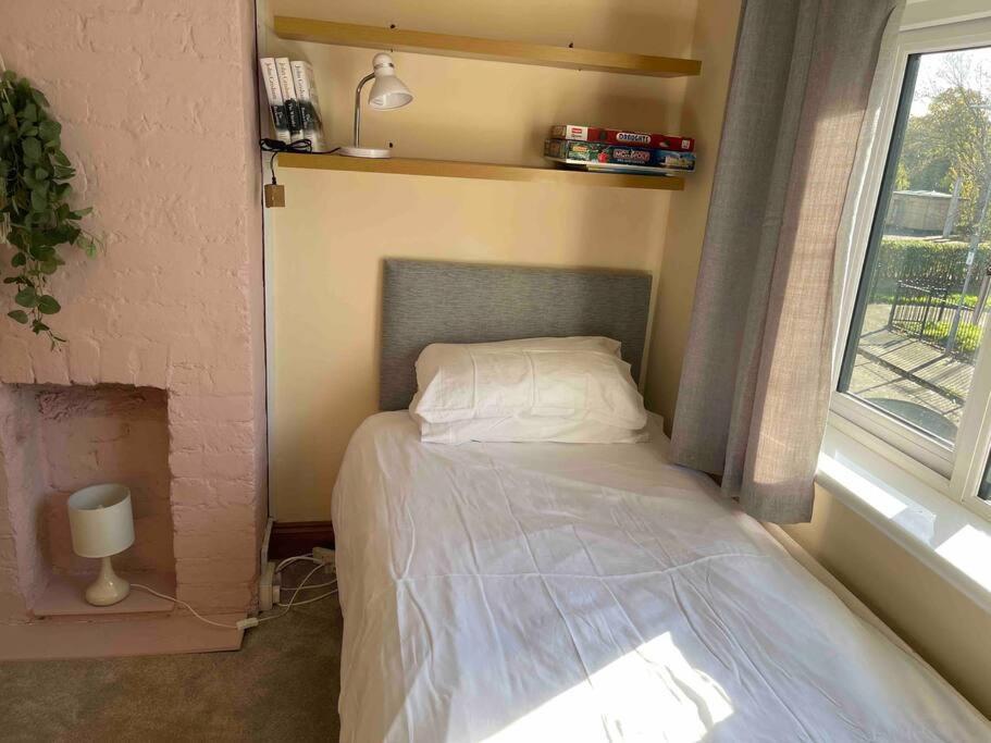 Lovely 2 Bedroom House Overlooking Park, Free Parking 贝尔法斯特 外观 照片