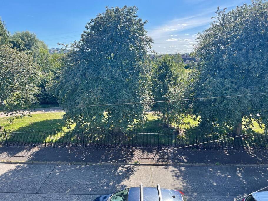 Lovely 2 Bedroom House Overlooking Park, Free Parking 贝尔法斯特 外观 照片